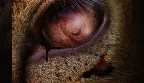 « Bambi : The Reckoning’ » : l&rsquo;affiche !