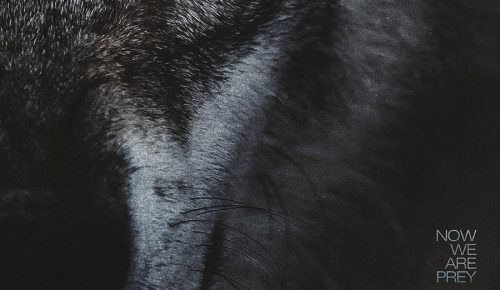 FACE AUX LOUPS