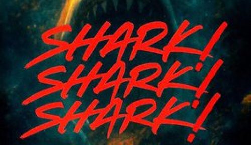 Shark! Shark! Shark!