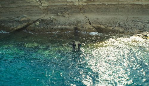 THE DIVE