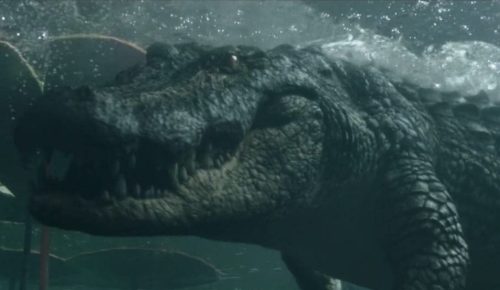 LE MONSTRE DES MARÉCAGES