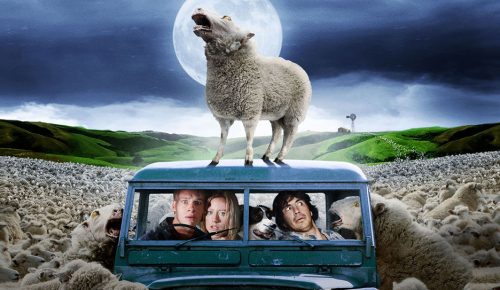 SHEEP 2