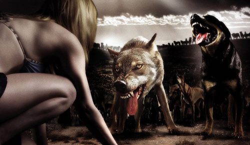 LA HORDE SAUVAGE